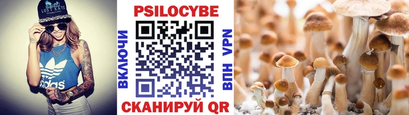 Галлюциногенные грибы GOLDEN TEACHER  ОМГ ОМГ рабочий сайт  Невьянск  shop Telegram  как найти закладки 